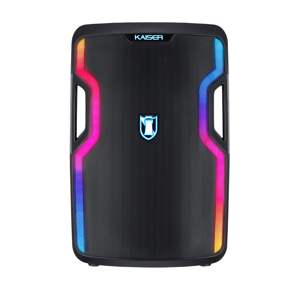 Bafle Kaiser profesional de 15" con 40 W RMS ZXP-1703